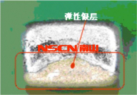 使用柔性端头降低陶瓷贴片电容短路风险